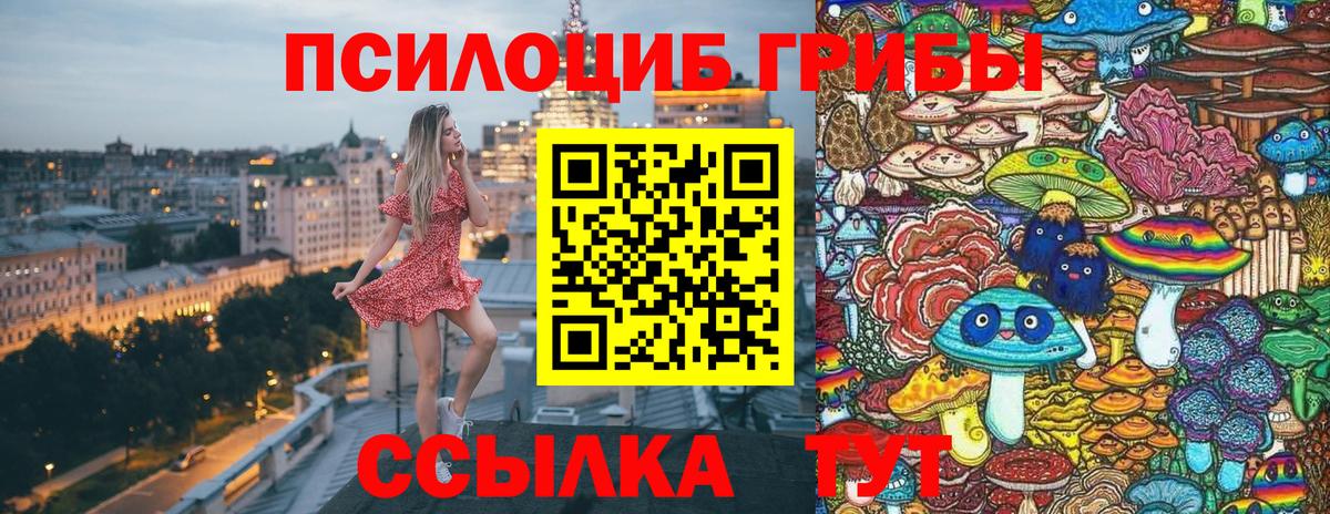 Галлюциногенные грибы Psilocybe Губкинский