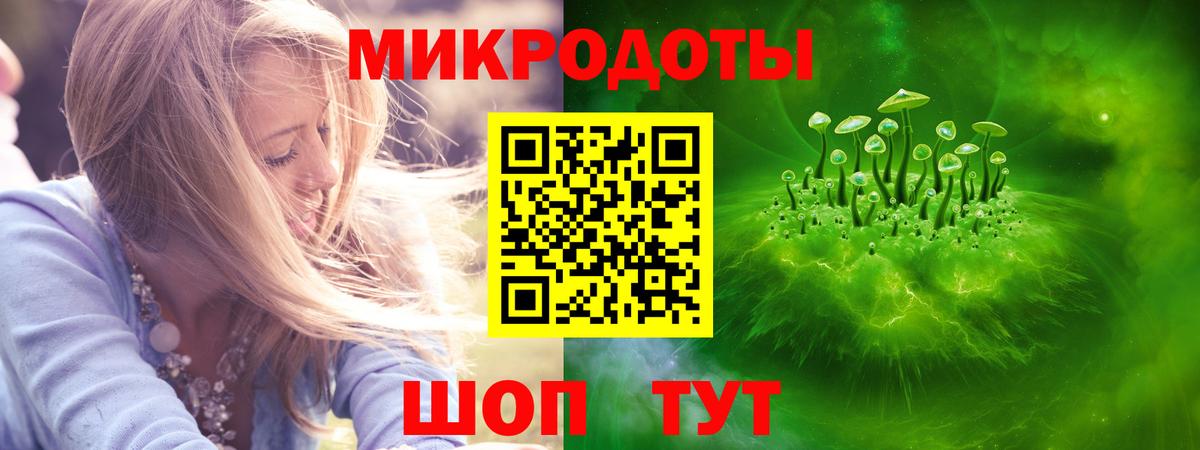Галлюциногенные грибы MAGIC MUSHROOMS  Псилоцибиновые грибы Psilocybe  Губкинский  где купить наркотик  Вход с VPN 